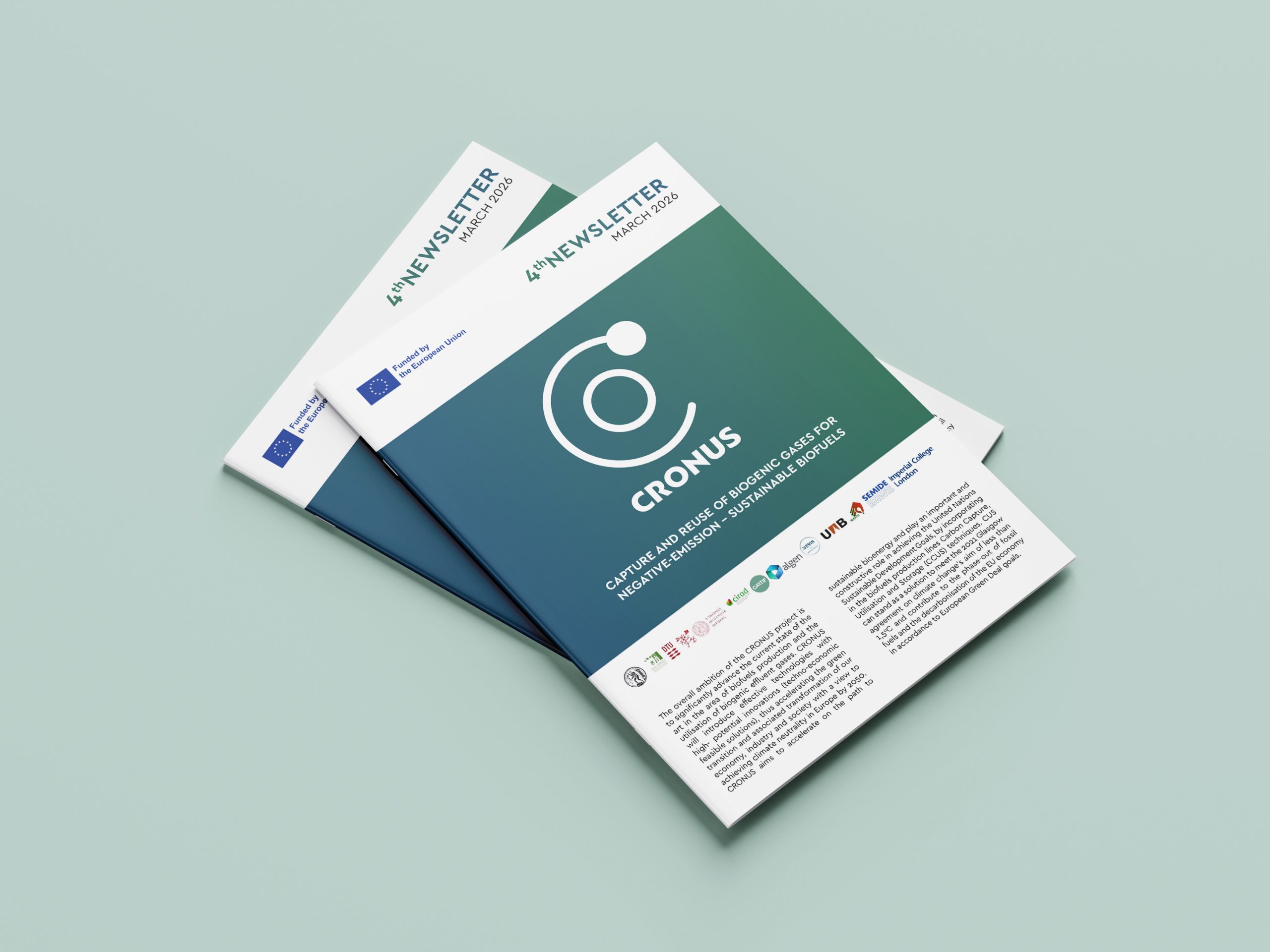 newsletter_mockup